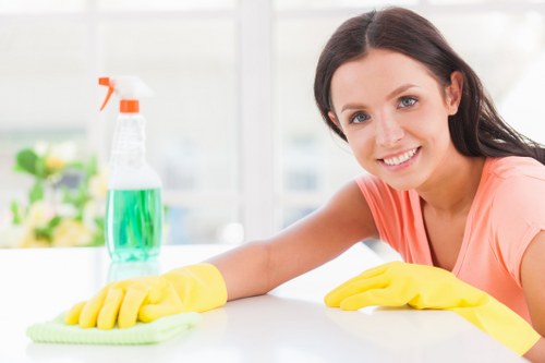 Professional carpet cleaning equipment used by Collierswood Carpet Cleaners in a home setting