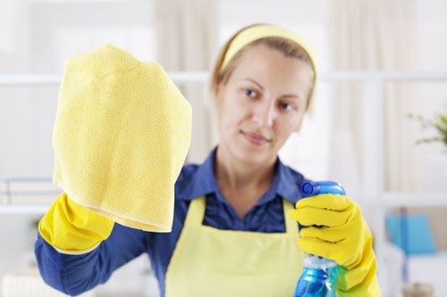 Customer concern review for carpet cleaning service