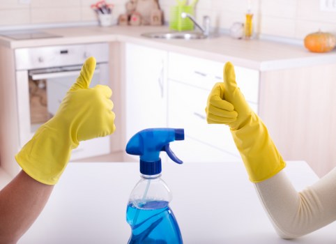 Professional carpet cleaning team restoring a home carpet