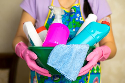 Kitchen oven cleaning service for Collierswood homes