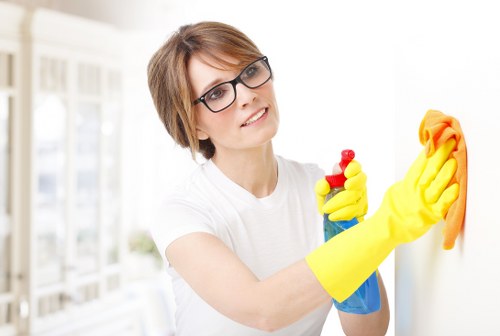 Professional carpet cleaning in a Collierswood home interior