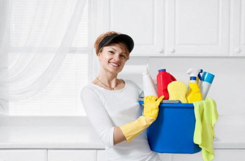 Detailed bathroom cleaning in a Collierswood property