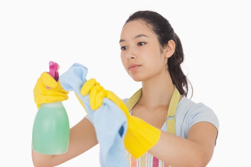 Professional carpet cleaning in Collierswood living room