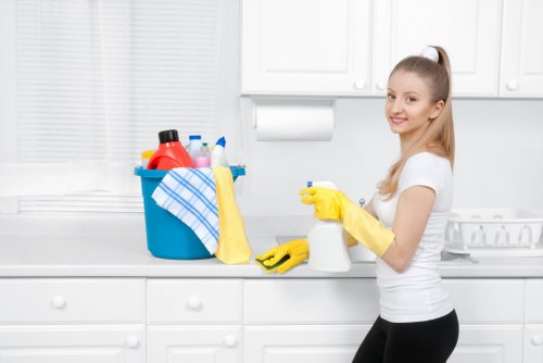 Deep cleaning kitchen surfaces in Collierswood home