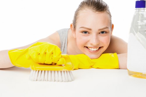 Example carpet cleaning jobs for flats, terraces, and commercial spaces