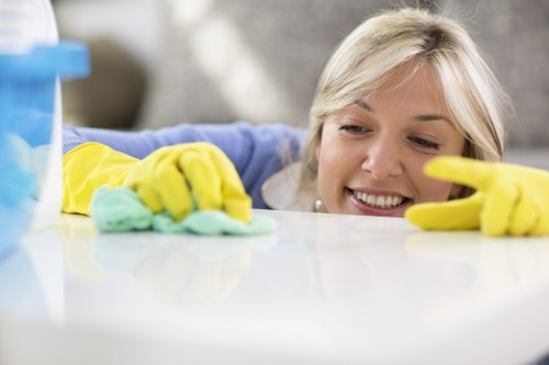 Kitchen cleaning setup for a Collierswood household