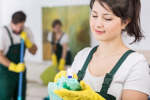 Professional cleaners in Collierswood working in a modern home