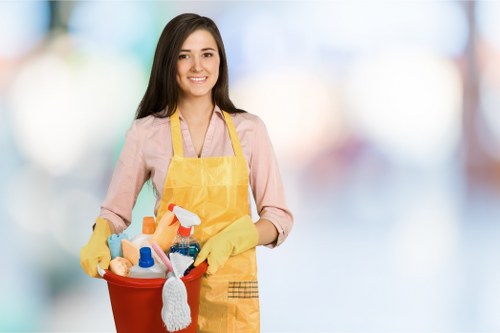 Regular domestic cleaning in Collierswood to keep homes fresh and neat