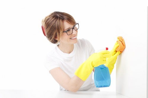 Deep upholstery cleaning process for a fabric sofa