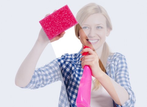 SSL protected payment checkout for carpet cleaning services
